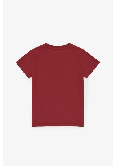 U.S. Polo Assn. Erkek Çocuk Vişne Tişört Basic 50325556-vr223