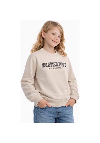 Kız Çocuk Sweatshirt Bgl-st05271 Taş