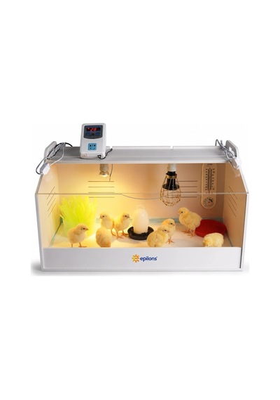 Civciv Büyütme Küvezi Dijital Termostatlı Ana Kucağı Ve Brooder Kafesi Bx-316464