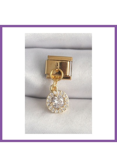 Bezos 316l Çelik Gold Renk Sallantı Daire Zirkon Taşlı Nomination Charm Bzoshb