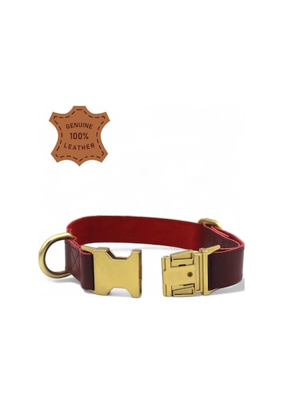 Caramelos- Hakiki Deri Köpek Boyun Tasması, Kişiye Özel Künyeli-küçük Ve Orta Irk- 2cm Bordo-tek Ebat Çok Renkli