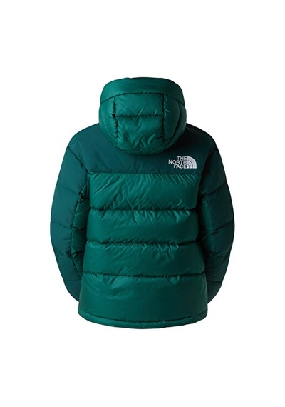 The North Face W Hmlyn Down Parka Kadın Outdoor Montu Nf0a4r2wgm01 Yeşil Yeşil