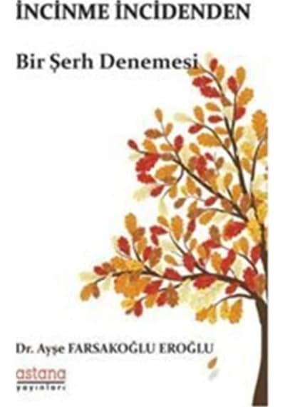 İncinme İncidenden - Bir Şerh Denemesi - Ayşe Farsakoğlu Eroğlu - Astana Yayınları
