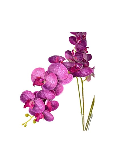 Nettenevime Yapay Çiçek Fuşya Damarlı Islak Orkide Uzun Dal 90 Cm Orkide Diğer