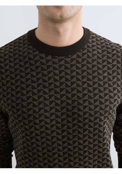 Lcwaıkıkı Classic Kahverengi Erkek Desenli Regular Fit Triko Kazak