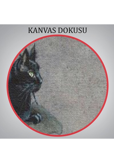 Tarla Farelerinin Üstünden Yarasaların Yardımı İle Uçan Kara Kedi Tablosu-6081 70 X 100