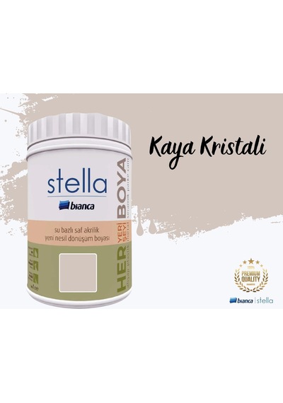 Stella Su Bazlı Saf Akrilik Boya 1 Litre Diğer