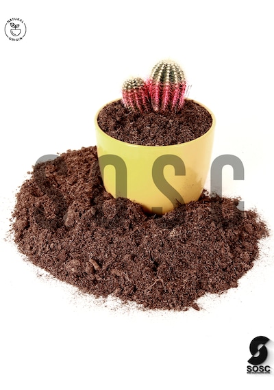 İthal Sphagnum Bitki Yetiştirme Torfu 5 Lt