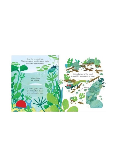 The Usborne Peep Inside Bug Homes