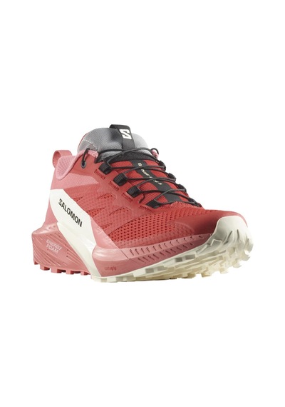 Salomon Sense Ride 5 W Kadın Koşu Ayakkabısı L47215200 Gri