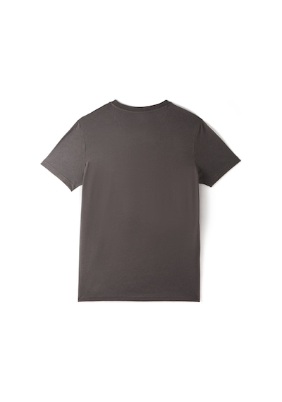 Gsstore Galatasaray 5 Yıldız T-shirt E251402 Antrasit