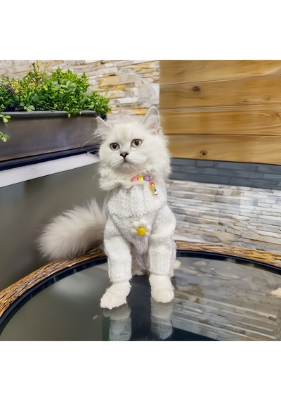 Kedi Ve Köpek İçin Papatyalı Beyaz Kazak