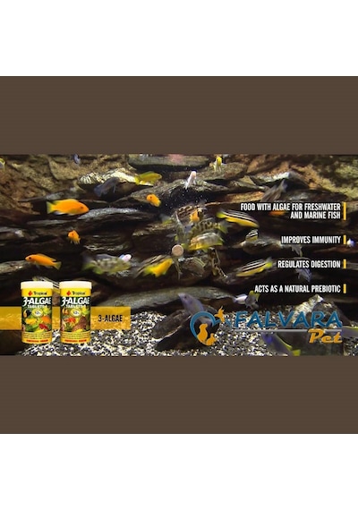 Tropical 3 Algae Tablets B Tablet Balık Yemi 1 KG