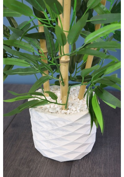 Saksıda Bambu Ağacı Koyu Yeşil 65 Cm Taşlı Model Yeşil