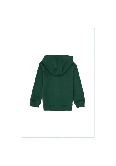 U.S. Polo Assn. Erkek Çocuk Koyu Yeşil Basic Kapüşonlu Sweatshirt 50308439-VR079