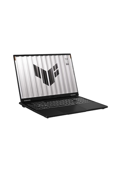 Asus Tuf Gaming F16 FX608JMI-TU439A10 i7-14650HX 16 GB 1 TB SSD RTX060 16" W11P Dizüstü Bilgisayar