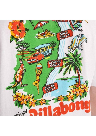 Bıllabong Billabong Origin Erkek Beyaz Tişört Wht