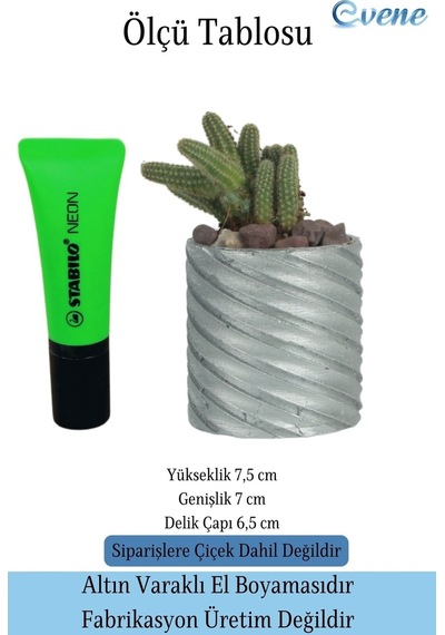 Saksı Kaktüs Saksısı Dekoratif Saksı Model 4 - Gümüş