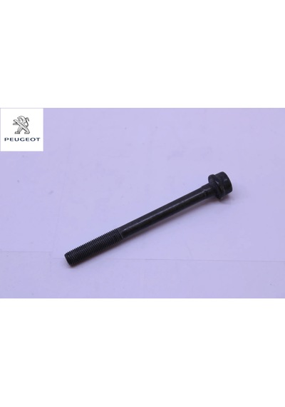 Silindir Kapak Saplamasi Peugeot 0250.c6 1611174780