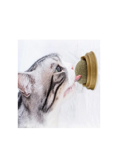 Safestore Kedi Nanesi Cat Mint Oyun Topu