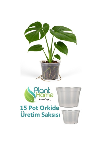 15 Pot Orkide Üretim Saksısı - 2 Adet