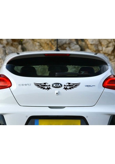 Kanat Oto Sticker Yapıştırma 18X8Cm