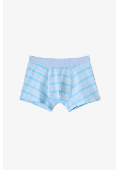 Penti Erkek Çocuk Mavi Dino Bones Çizgili Pamuklu 3lü Boxer