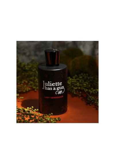 Lady Vengeance Edp 100ml Diğer
