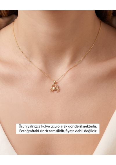 Üç Boyutlu Sade Minik Yengeç 14 Ayar Altın Kolye Ucu