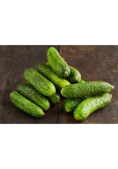 Kornişon Salatalık Tohumu 15 Tohum + Sebze Tohumu