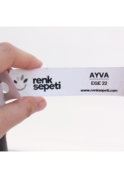 Aşılı Ege 22 Ayva Fidanı 3 Yaş