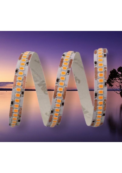 Cata Ct-4538 Gold 240 Ledli İç Mekan Şerit Led 5 Metre