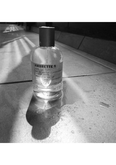 Ambrette 9 Edp 100ml Diğer