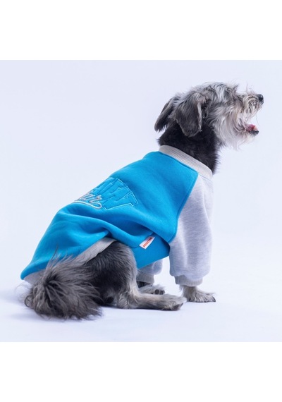 Mavi Boston Pawstar Sweat Köpek Sweatshirt Köpek Sweat Köpek Kıyafeti Kedi Kıyafeti