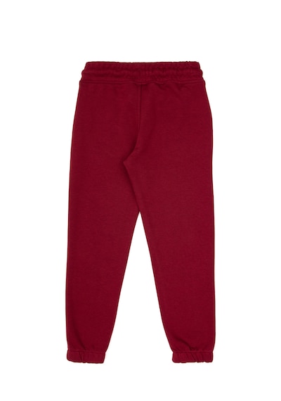 U.s. Polo Assn. Erkek Çocuk Bordo Eşofman Altı 50316602-vr014 Bordo