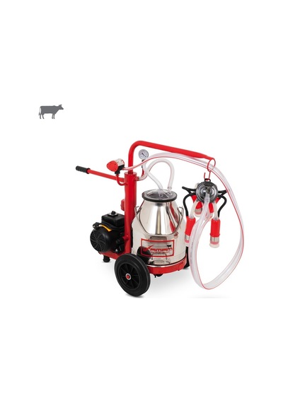 Tamam Ecomini Tekli İnek Süt Sağma Makinesi Paslanmaz Güğüm-silikon Memelik Kuru Pompa