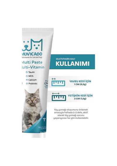 Kedi Multivitamin Malt Macunu