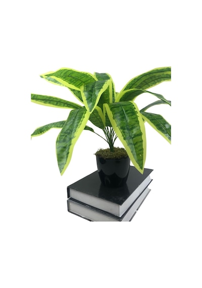 Yapay Çiçek Masengena Sansevieria 12 Dal 40x50Cm Salon Çiçeği Pla