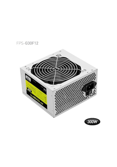 Foem 300W (FPS-G30F12)