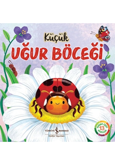 Küçük Uğur Böceği - Doğanın Eşsiz Hikayeleri 13 - Yqbx-668609