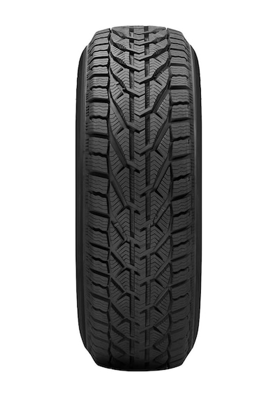 Riken 245/45 R18 100V XL Snow Kış Lastiği 2024