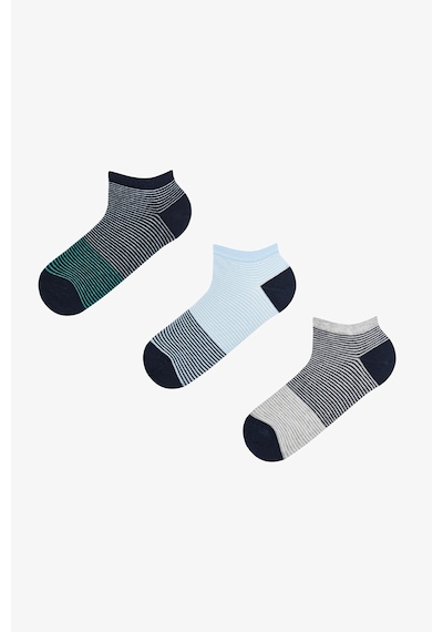 Penti Erkek Renkli Stripe Fade 3'lü Patik Çorap