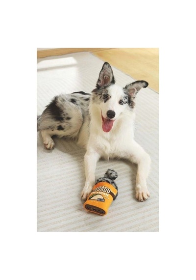 M-pets Artie Snack Attack Ödül Konulabilen Köpek Oyuncağı