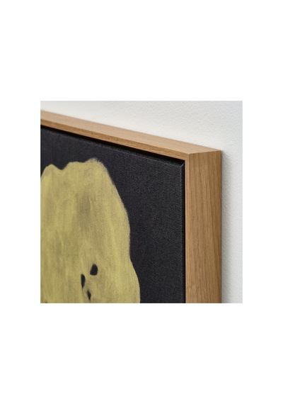 Ikea Blodflader Çerçeveli Resim 50x70 Cm Çok Renkli 606.234.73