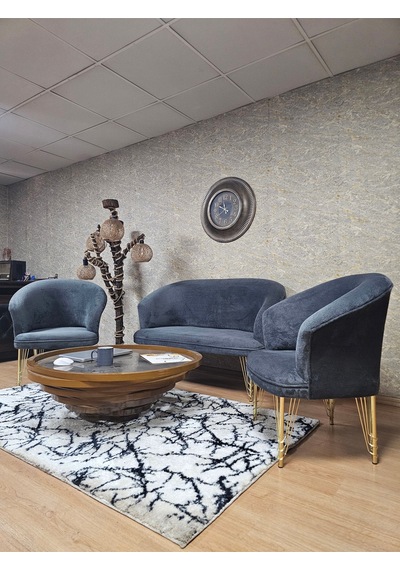 Zafir Teddy Takım Gold Kaplama Telli Ayak Çay Seti Koltuk - Berjer , Balkon, Salon, Ofis Füme Zafir Teddy Takım Gold Kaplama Telli Ayak Çay Seti Koltuk - Berjer , Balkon, Salon, Ofis Füme