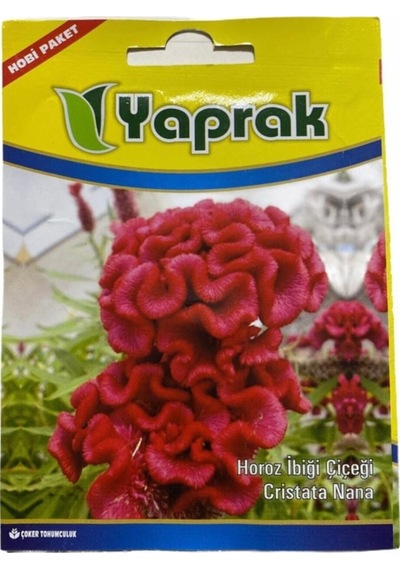 Horoz Ibiği Tohum
