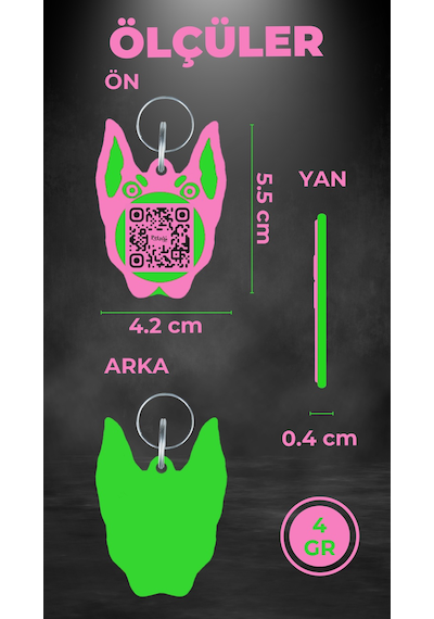 Petjoo 30.Anubis Yeşil-Pembe Qr'lı Köpek Künyesi