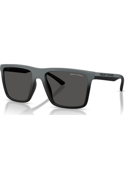 Ax 4162su 838887 57 Armani Exchange Güneş Gözlüğü Siyah