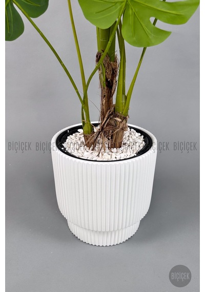 Biçiçek Yapay Monstera Ağacı Deve Tabani 160 Cm Beyaz Vega Saksıda