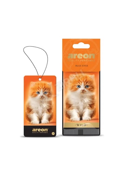 Areon Wild Blue Eyes Oto Araç Kokusu Diğer